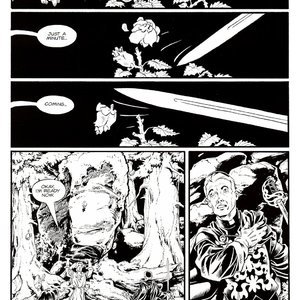 Ironwood - Issue 2 (EROS Comics) image 078