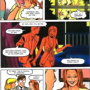 Hot Moms 08 - The dutiful wife (EROS Comics) image 006