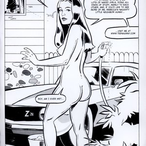 Housewives at Play 18 - Marinated M.I.L.F (EROS Comics) image 027