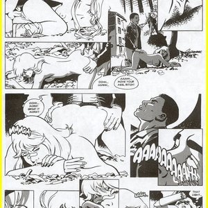 Spanish Fly - Issue 5 (EROS Comics) image 015