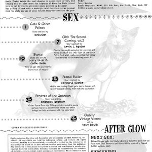 Sizzle 14 (Eurotica Comics) image 002