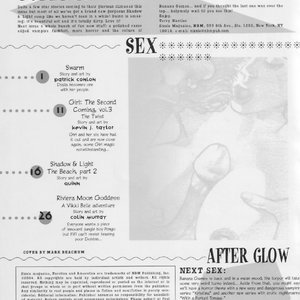 Sizzle 21 (Eurotica Comics) image 002