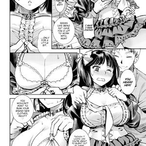 Splendid Diet (Fakku Comics) image 004