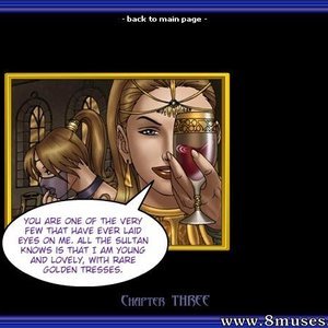 Girls Of The Harem Chapter 3 (Ferres Comics) image 015
