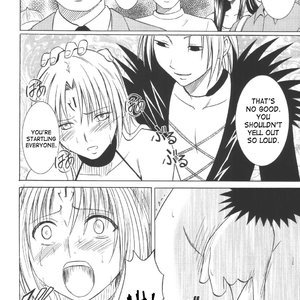 Black Cat Doujinshi - Black Cat Final (Hentai and Manga English) image 015