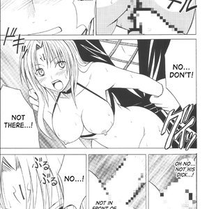 Black Cat Doujinshi - Black Cat Final (Hentai and Manga English) image 018