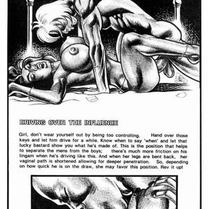 Girls Kama Sutra (Kevin Taylor Adult Comics) image 014