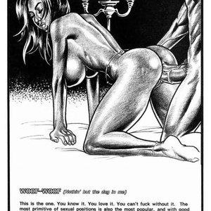 Girls Kama Sutra (Kevin Taylor Adult Comics) image 015