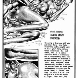 Girls Kama Sutra (Kevin Taylor Adult Comics) image 017