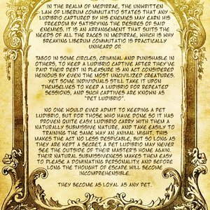 Ludibrio Chronicles - Issue 2 (Nearphotison Comics) image 002
