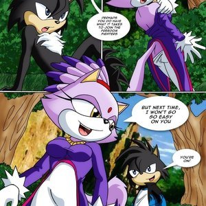 Frostcat Taking the Heat (PalComix Comics) image 013