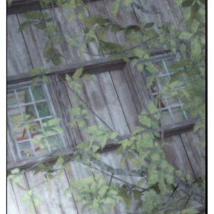 House - Issue 1 (TG Comics) image 009