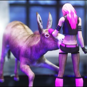 CGS40 - Burro Show (Vaesark Comics) image 011