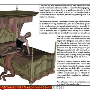 LoveLace 2 (Various Authors) image 029