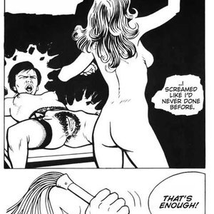 The School Teacher (Various Authors) image 140