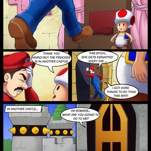 The princess is in another castle (Various Authors) thumbnail
