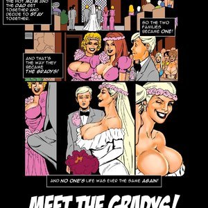 Meet the Gradys (Various Authors) thumbnail