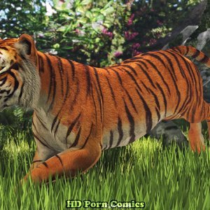 DuDu Primal - Issue 1 - Hunting (Various Authors) image 045