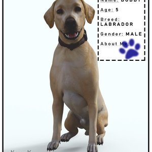 Doggy door (Various Authors) image 004