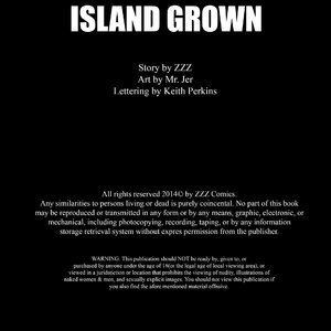 Island Grown - Issue 1 (ZZZ Comics) image 002